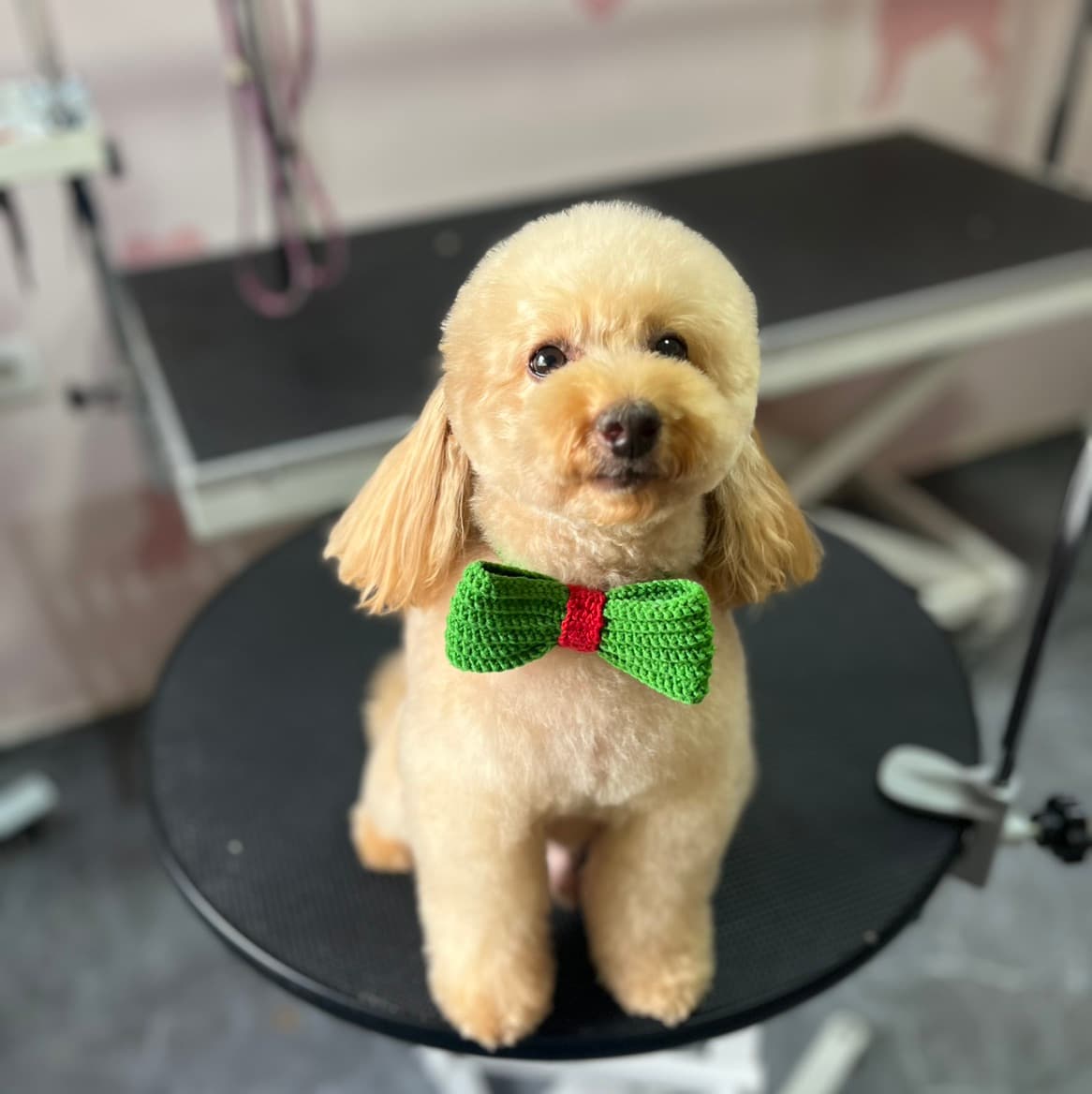Groomer Nida 3