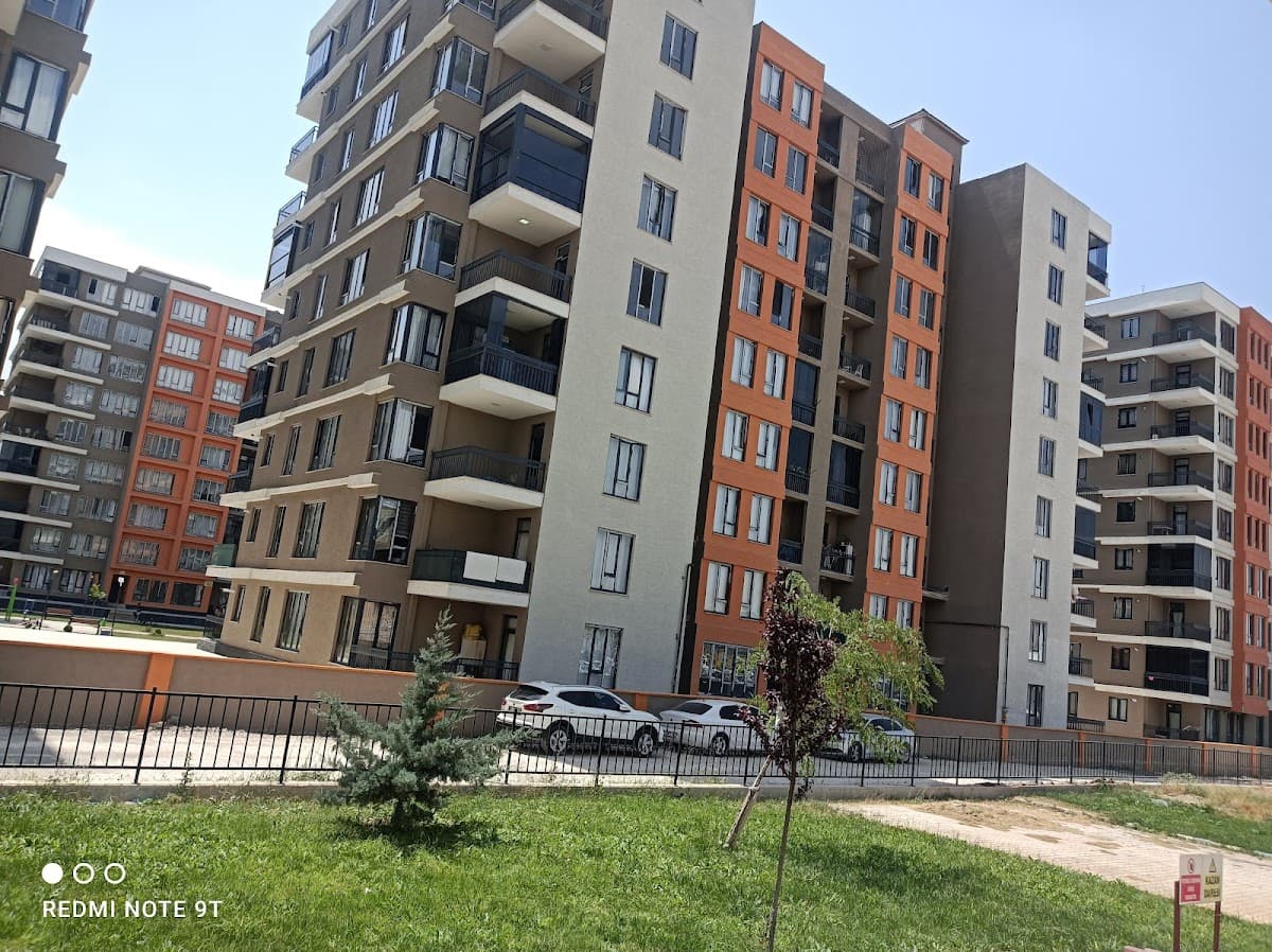 Zeynep bakan 1
