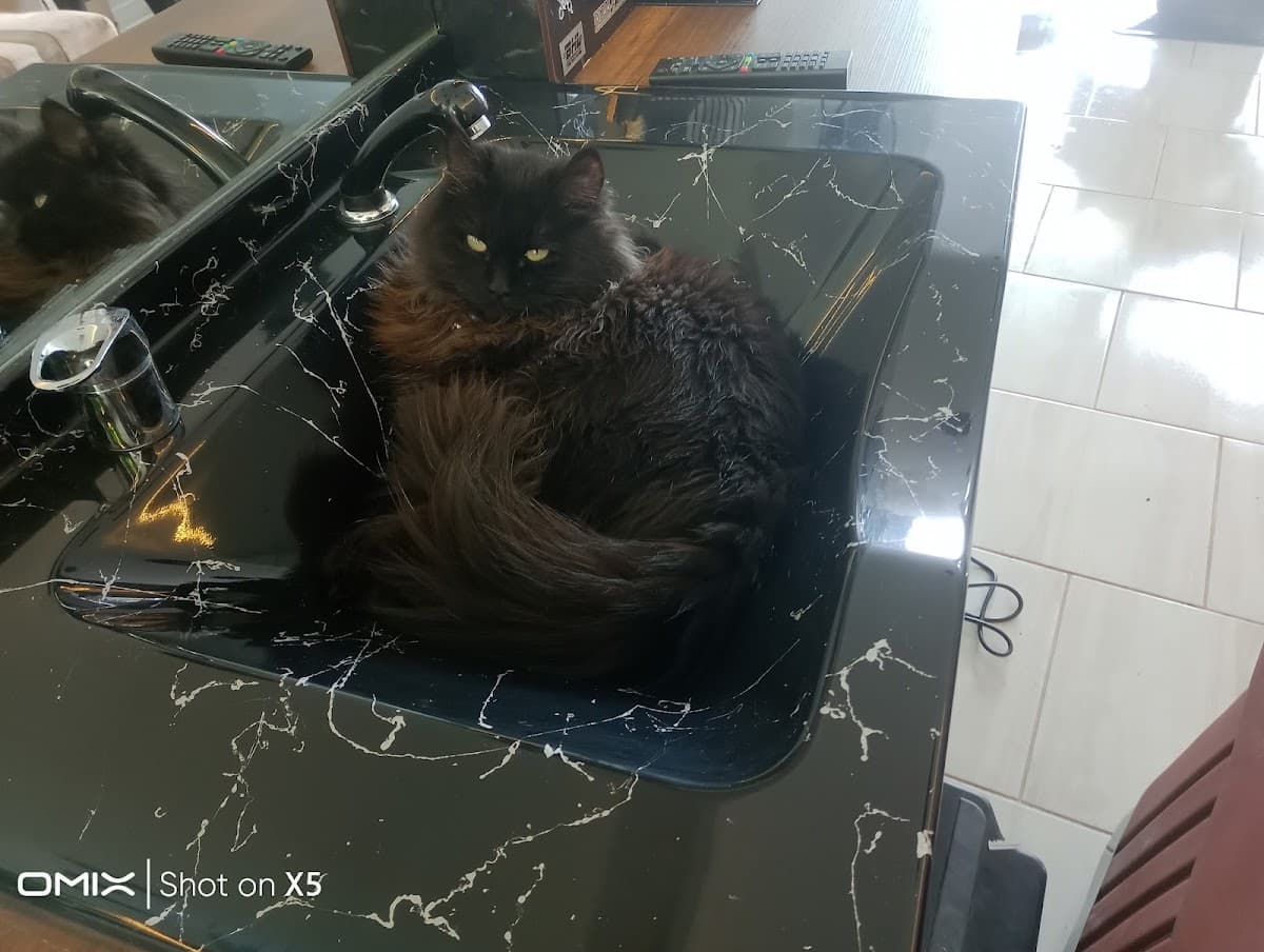 Saloon hasan özdemir 3
