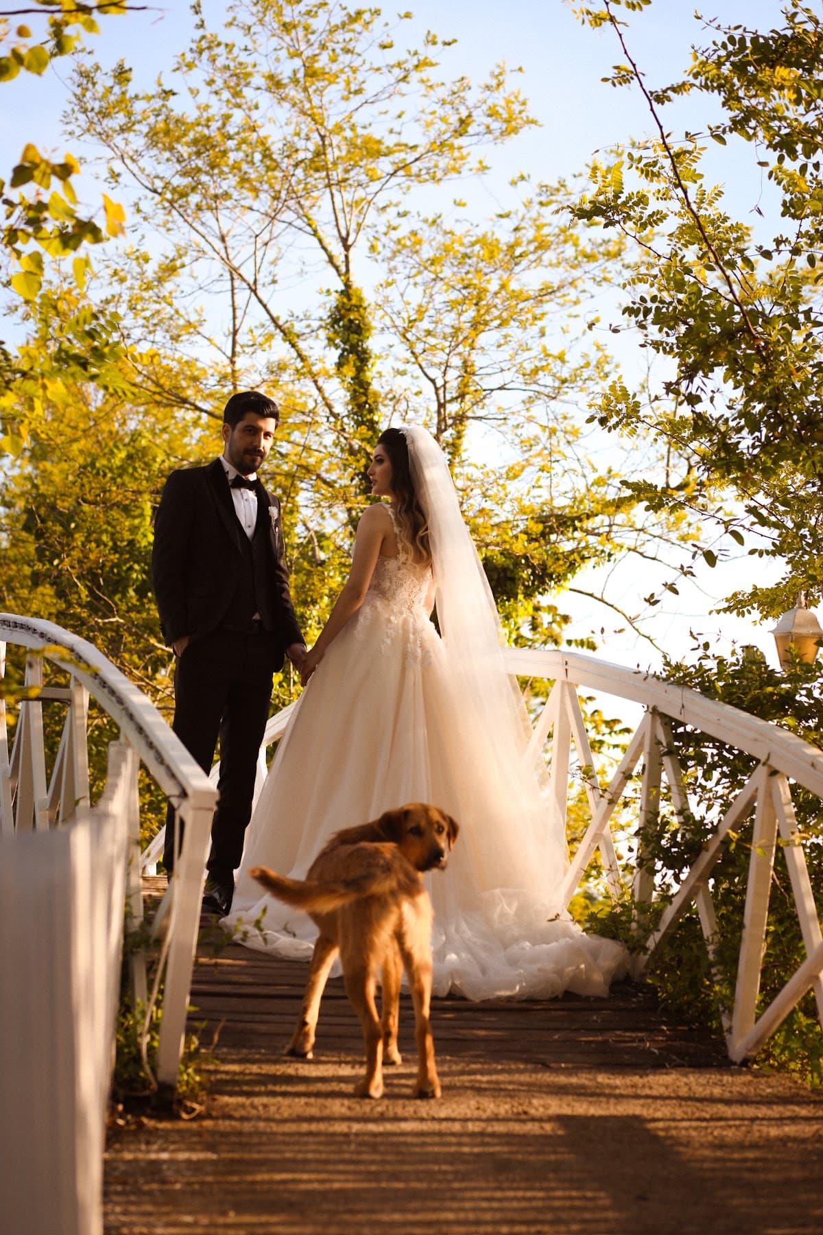 Foto Atakum Sedat Çelik 4