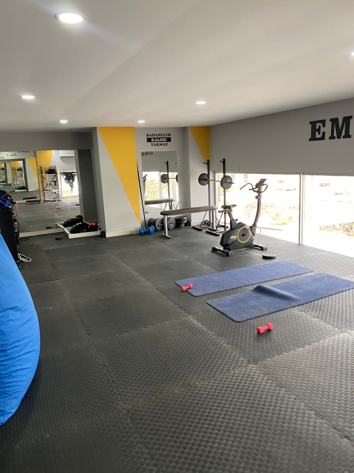 Ergolife 4