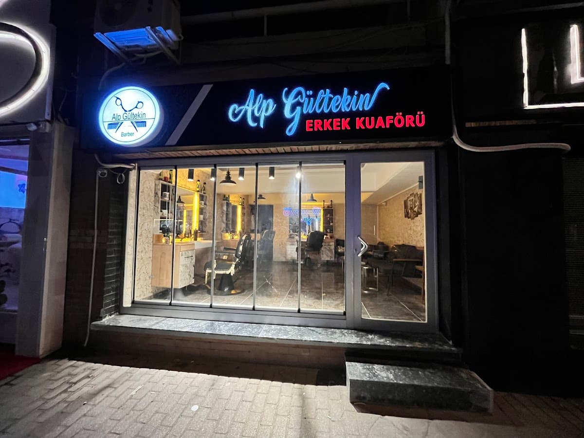 Alp gültekin 1